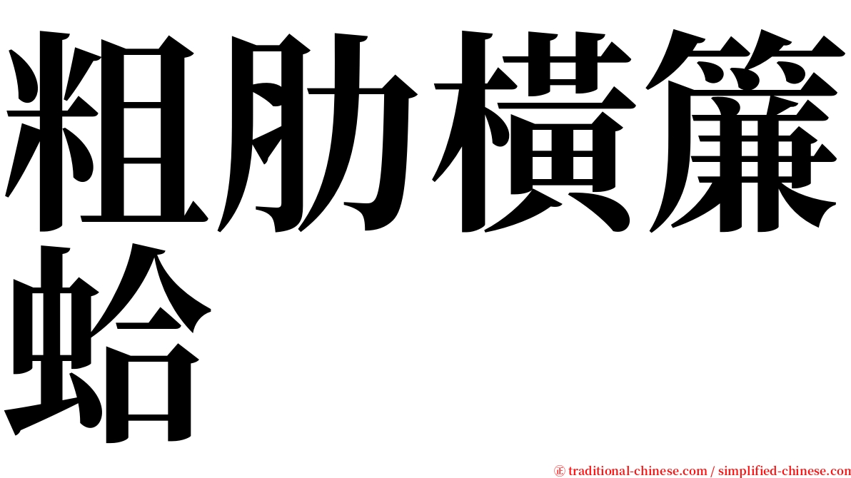 粗肋橫簾蛤 serif font