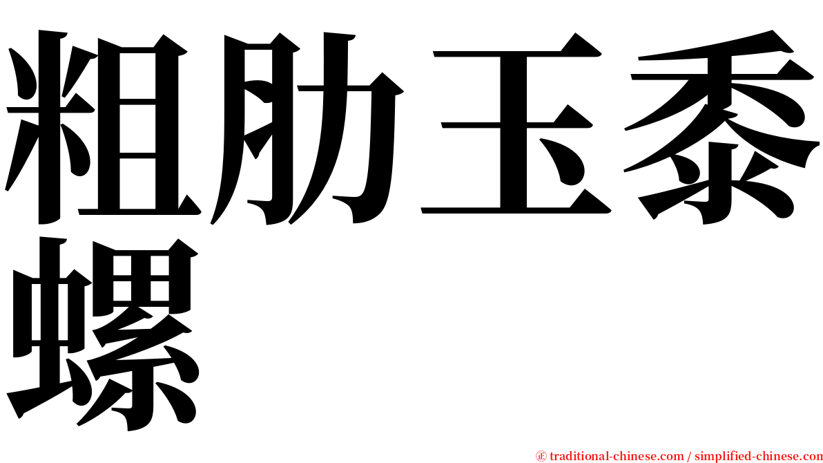 粗肋玉黍螺 serif font