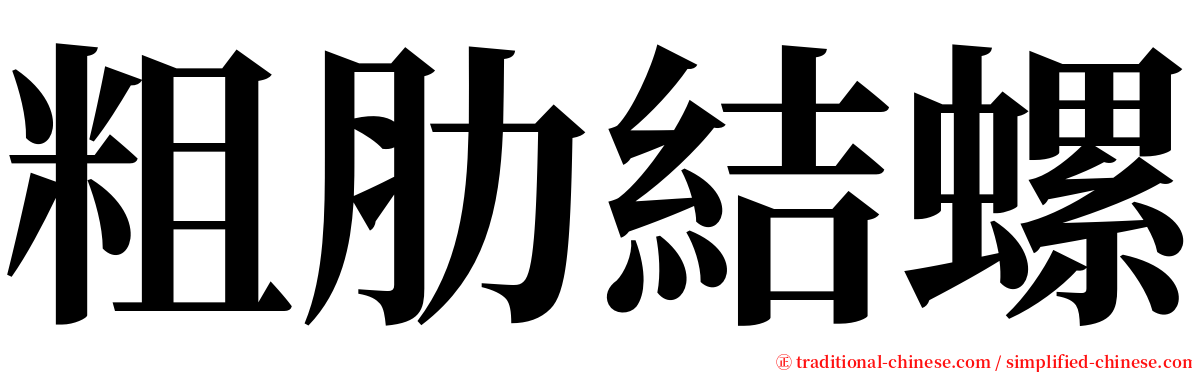 粗肋結螺 serif font