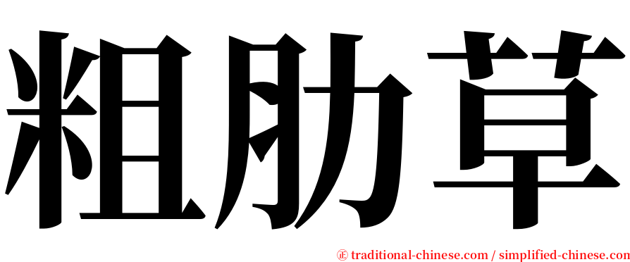 粗肋草 serif font