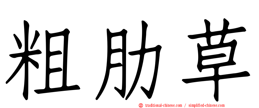 粗肋草