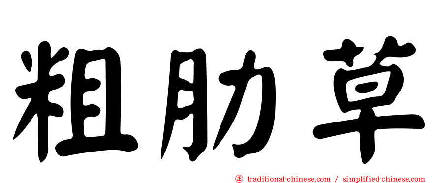 粗肋草