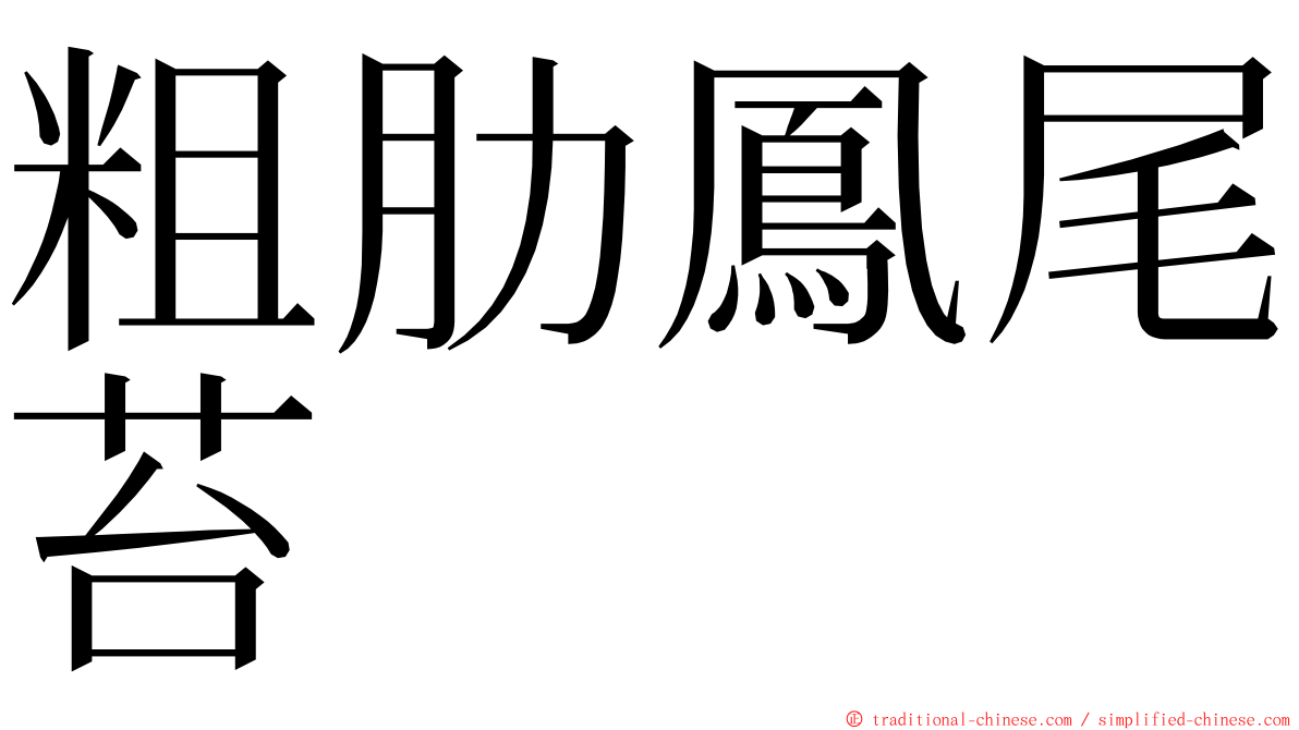 粗肋鳳尾苔 ming font