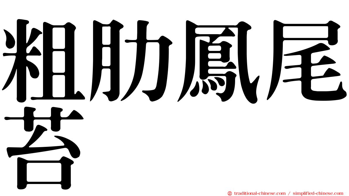 粗肋鳳尾苔