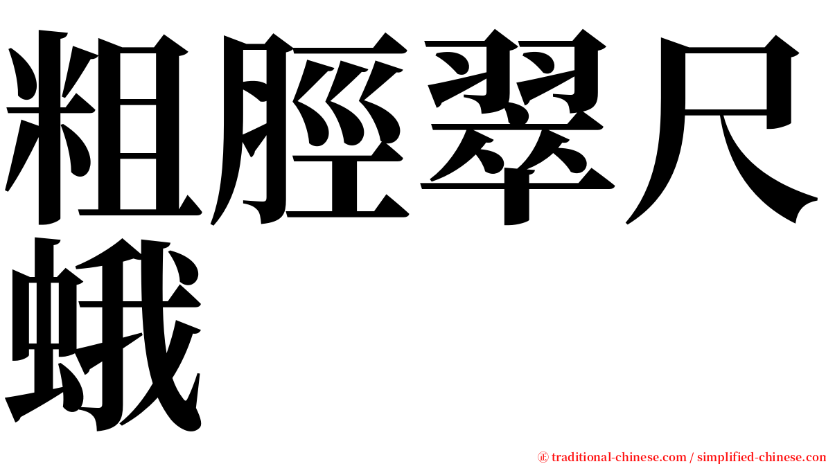 粗脛翠尺蛾 serif font