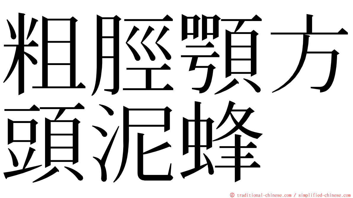 粗脛顎方頭泥蜂 ming font