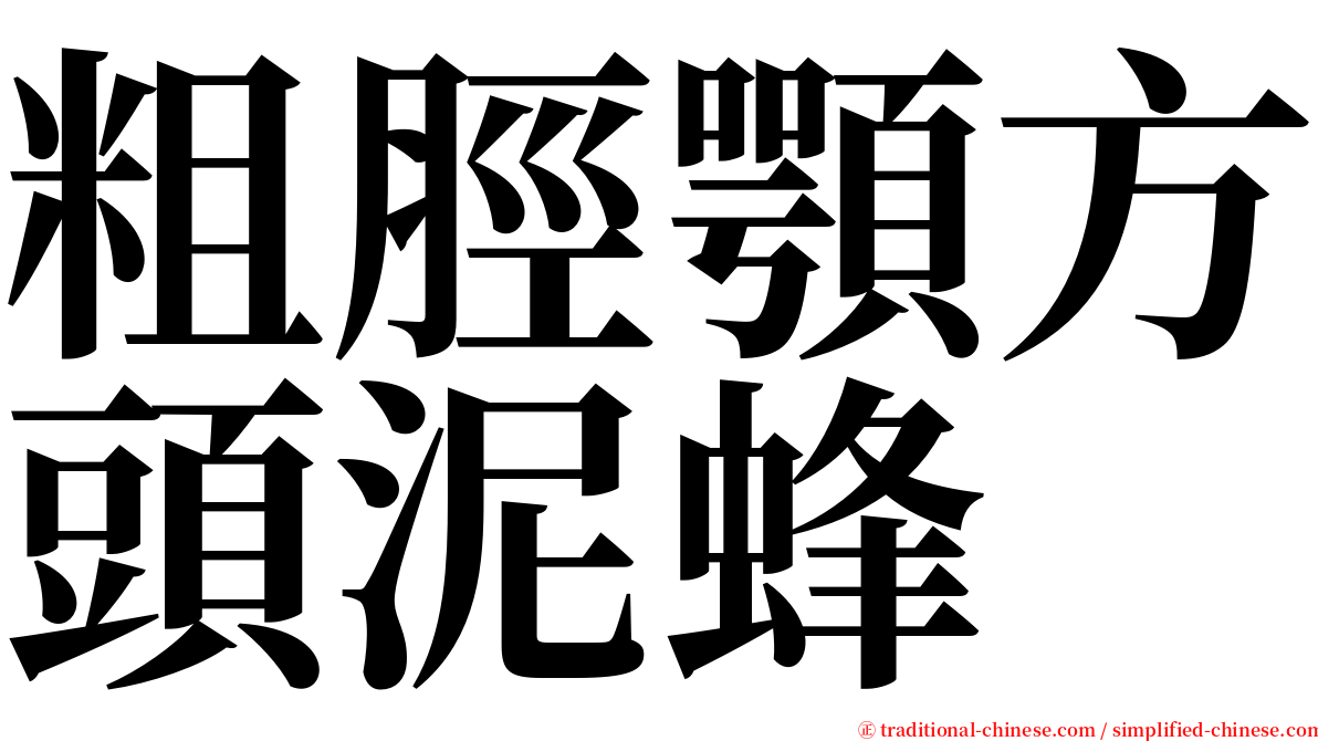 粗脛顎方頭泥蜂 serif font