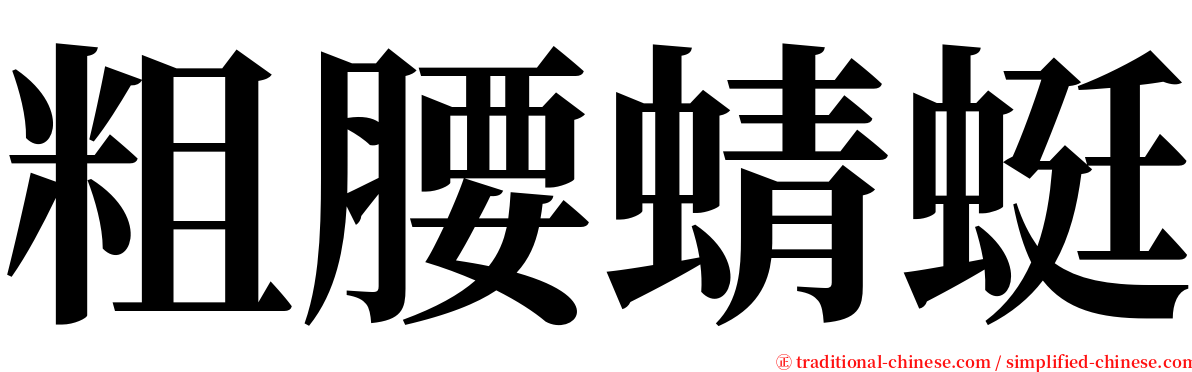 粗腰蜻蜓 serif font