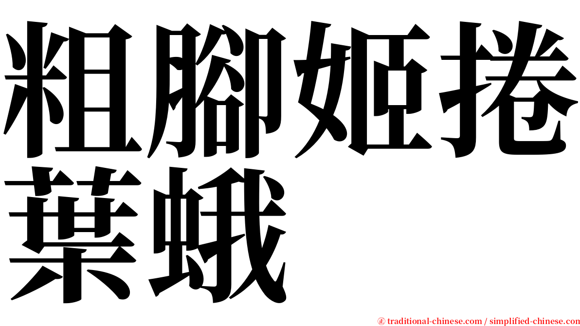 粗腳姬捲葉蛾 serif font