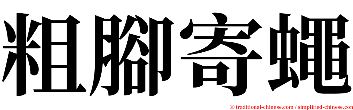 粗腳寄蠅 serif font