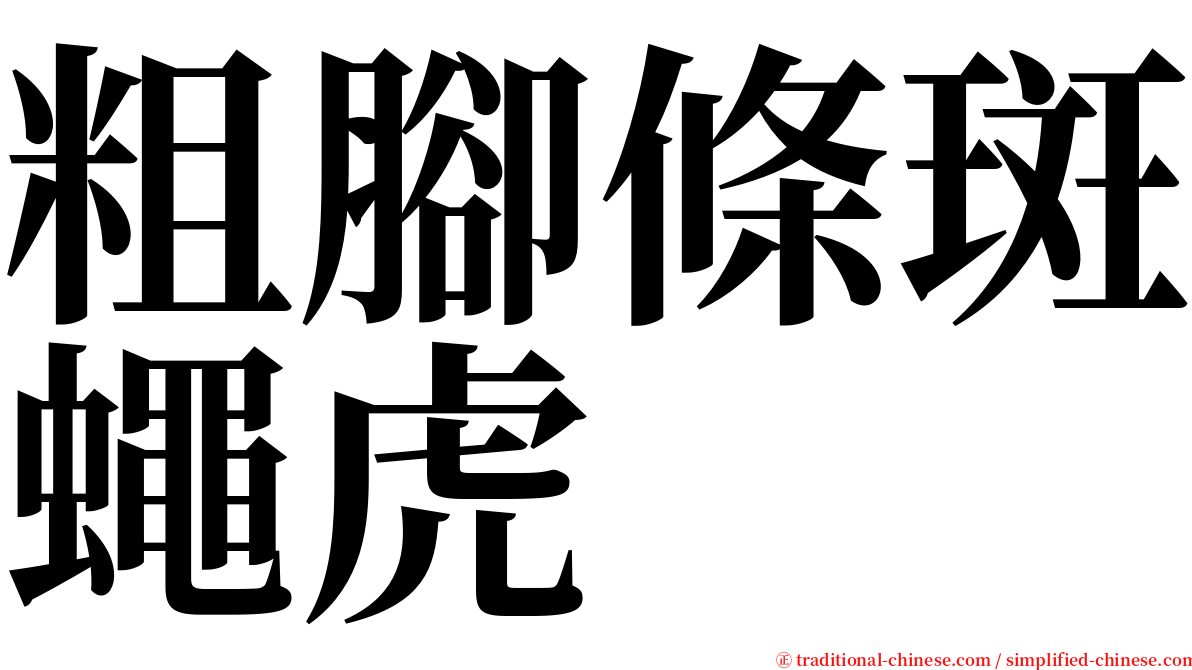 粗腳條斑蠅虎 serif font