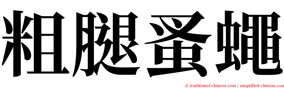 粗腿蚤蠅 serif font