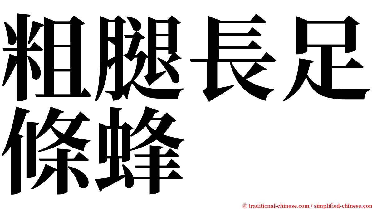 粗腿長足條蜂 serif font