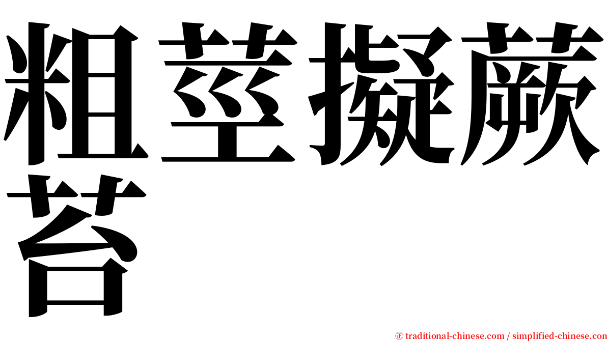 粗莖擬蕨苔 serif font