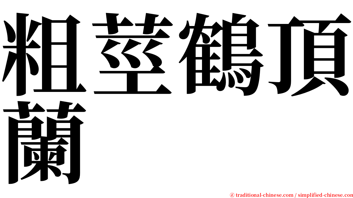 粗莖鶴頂蘭 serif font