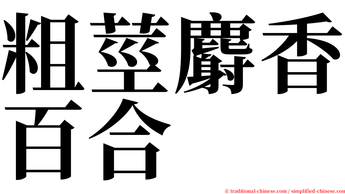 粗莖麝香百合 serif font