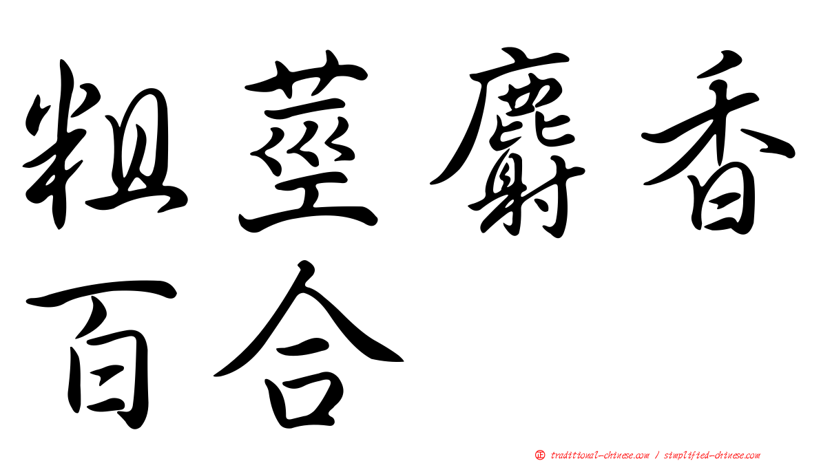 粗莖麝香百合