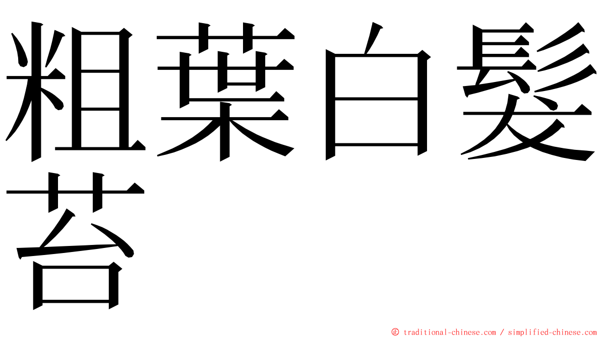 粗葉白髮苔 ming font