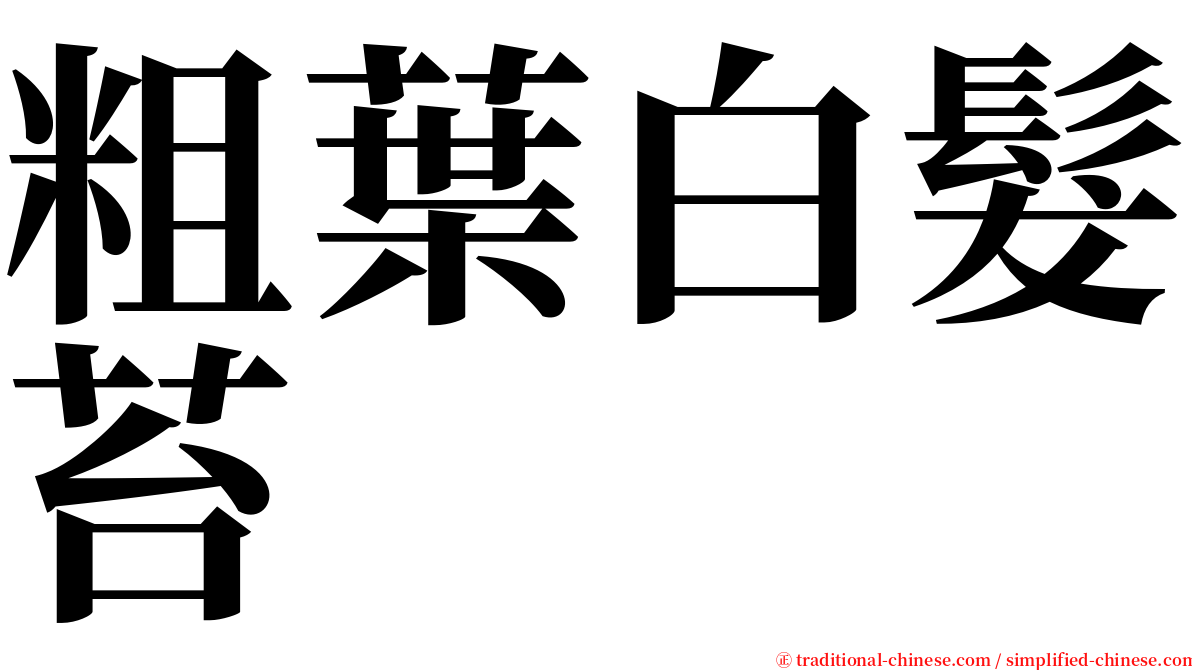 粗葉白髮苔 serif font