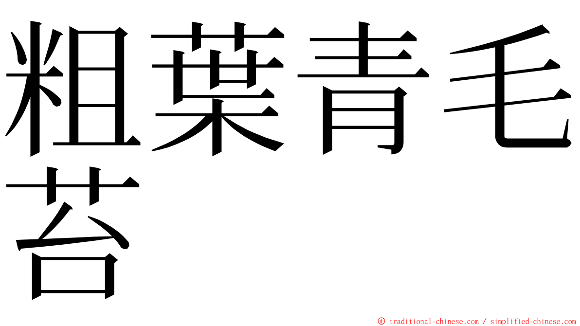 粗葉青毛苔 ming font