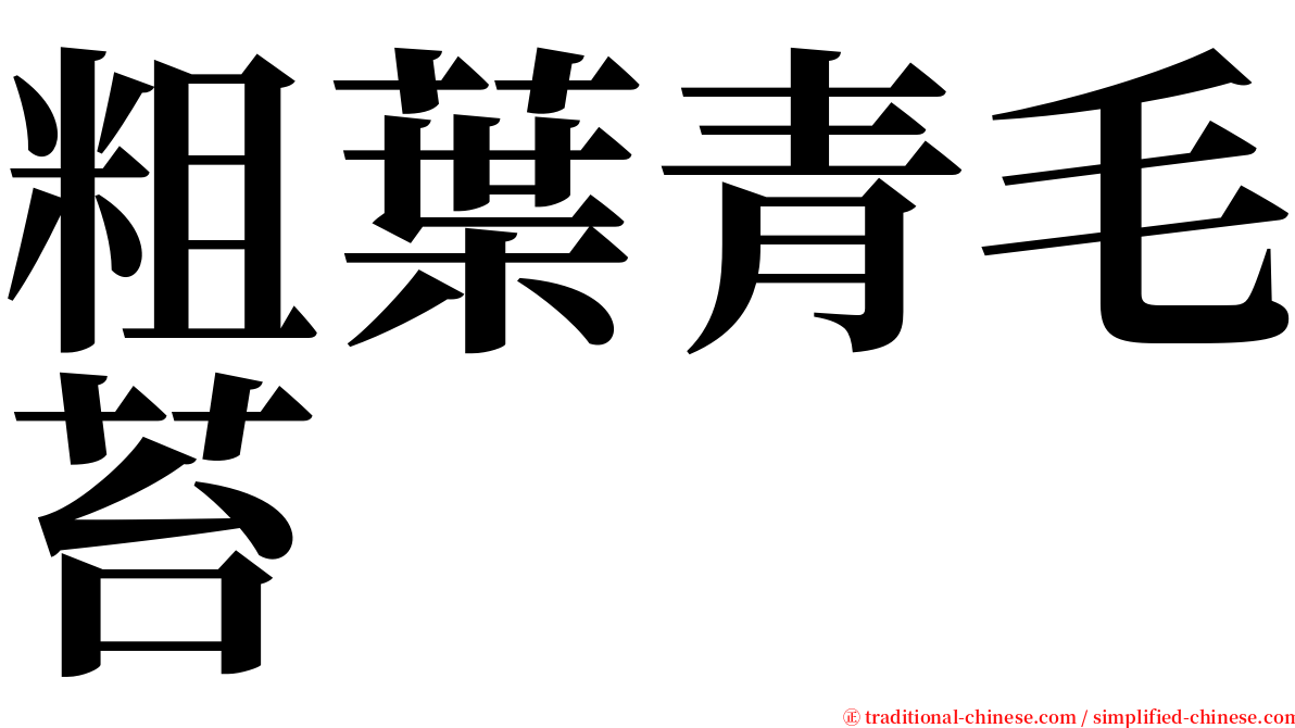 粗葉青毛苔 serif font