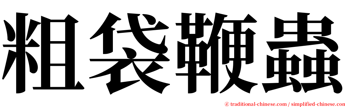 粗袋鞭蟲 serif font