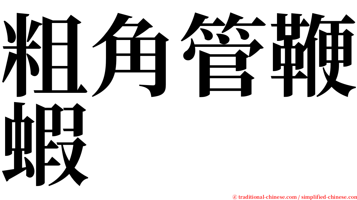 粗角管鞭蝦 serif font