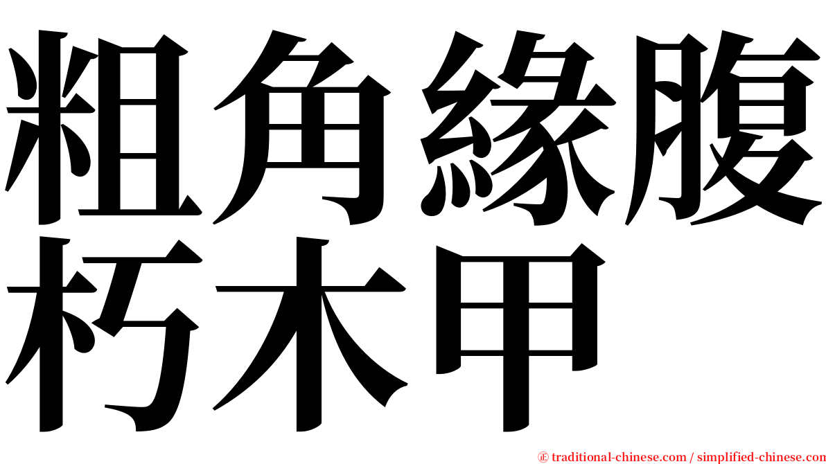 粗角緣腹朽木甲 serif font