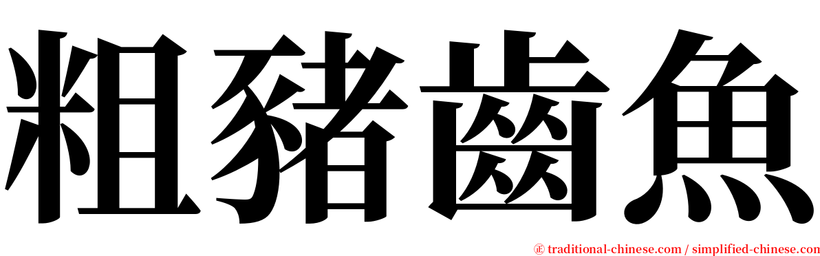 粗豬齒魚 serif font