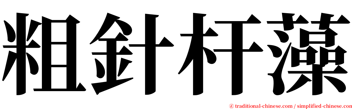 粗針杆藻 serif font