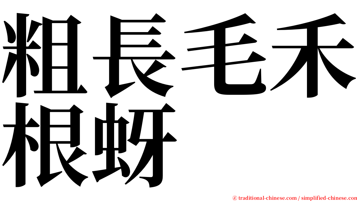 粗長毛禾根蚜 serif font