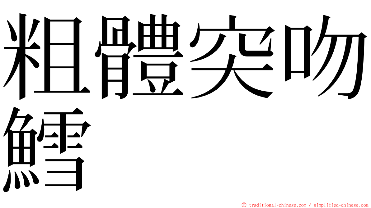 粗體突吻鱈 ming font