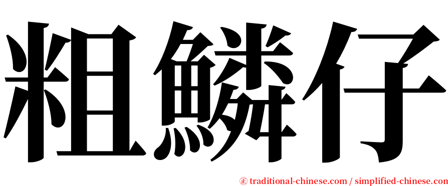 粗鱗仔 serif font