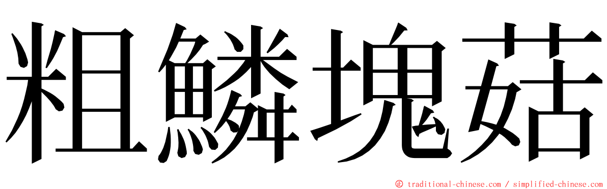 粗鱗塊菇 ming font