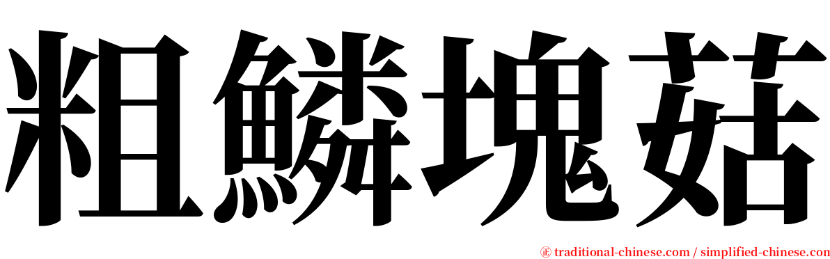 粗鱗塊菇 serif font