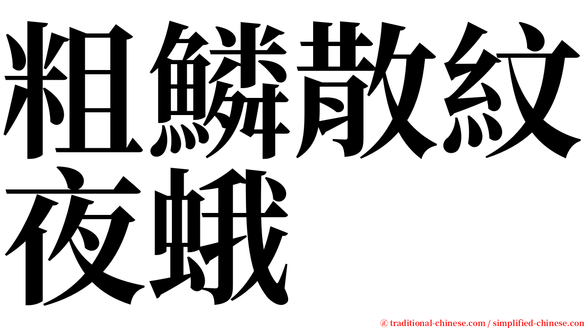 粗鱗散紋夜蛾 serif font