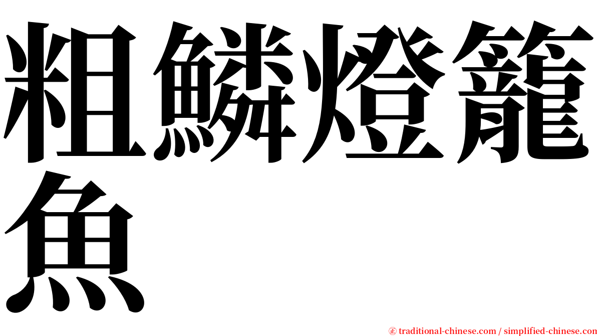 粗鱗燈籠魚 serif font