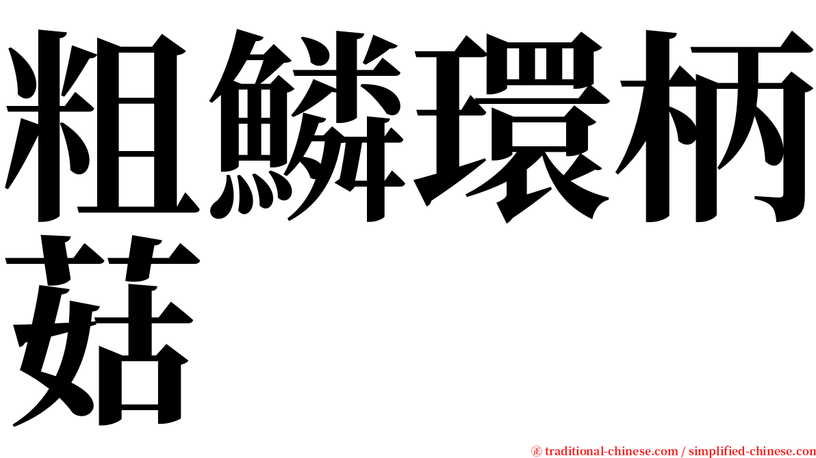 粗鱗環柄菇 serif font