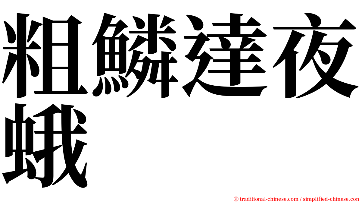 粗鱗達夜蛾 serif font