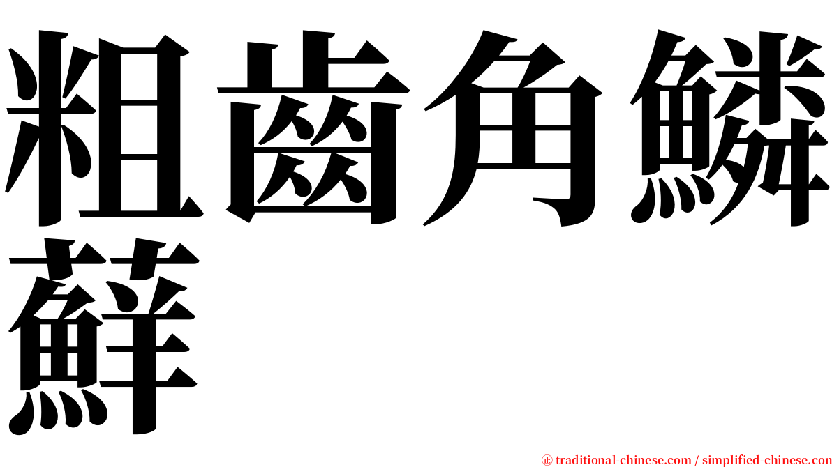 粗齒角鱗蘚 serif font