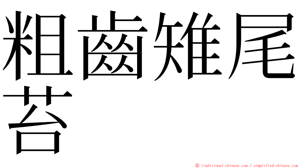 粗齒雉尾苔 ming font