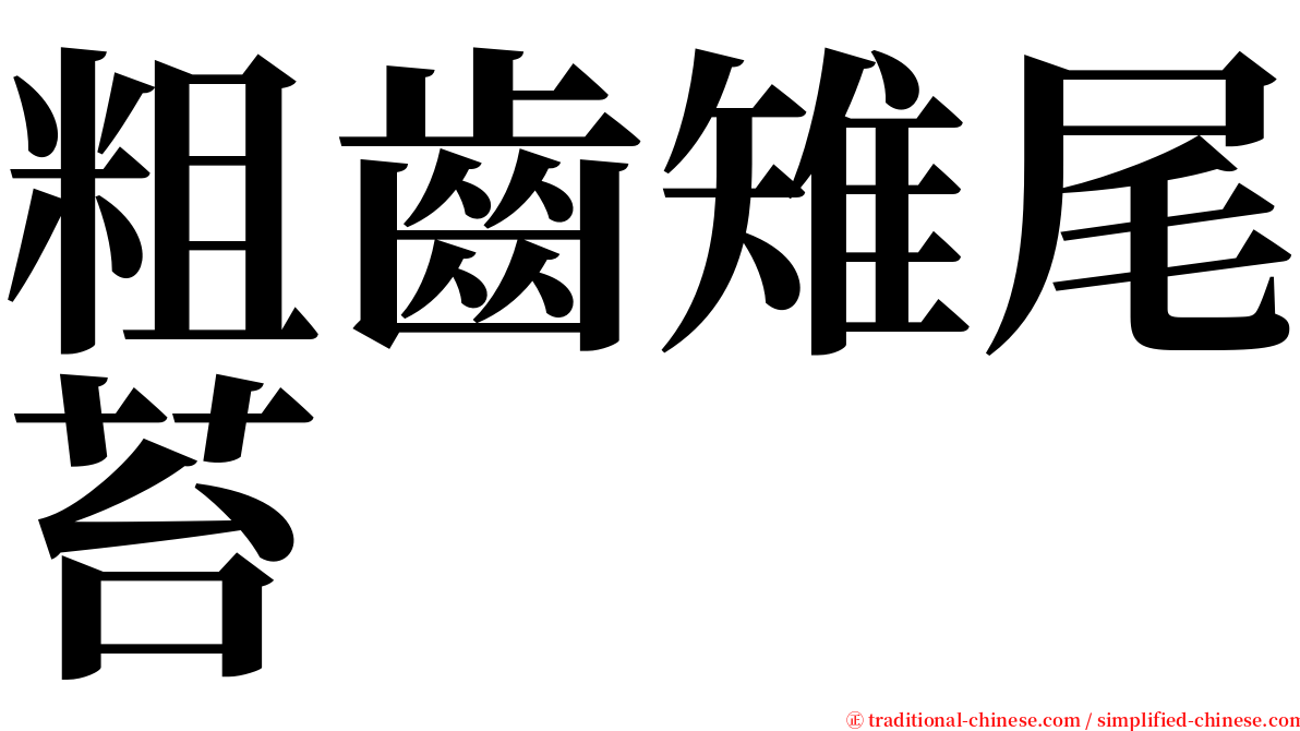 粗齒雉尾苔 serif font