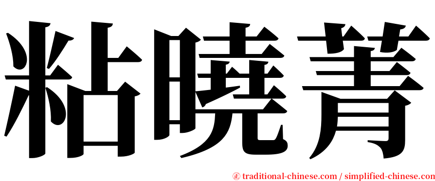 粘曉菁 serif font