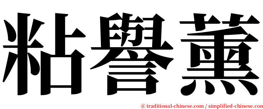 粘譽薰 serif font