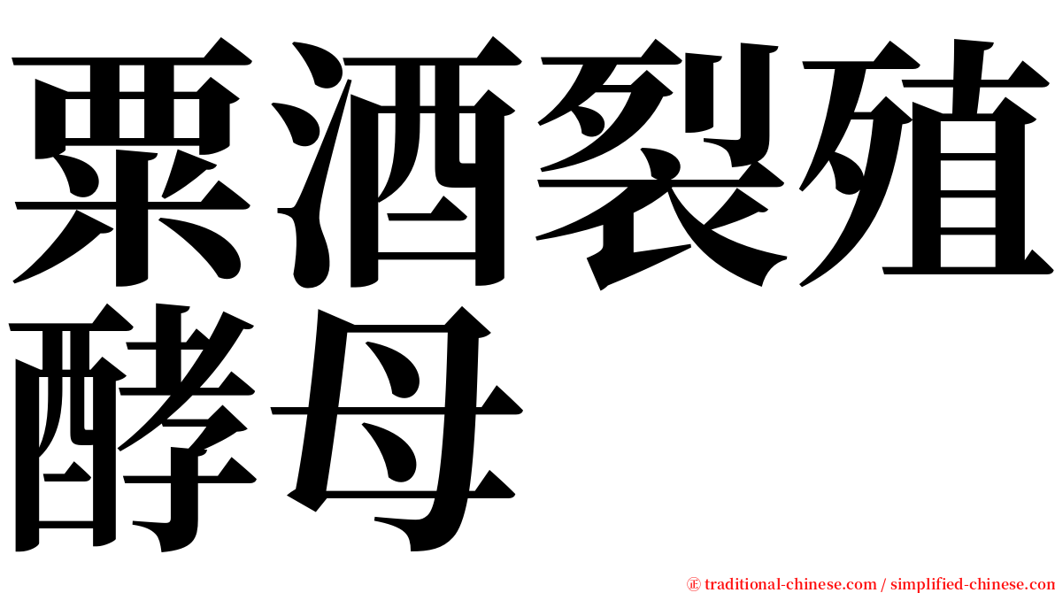 粟酒裂殖酵母 serif font