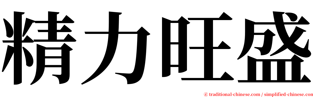 精力旺盛 serif font