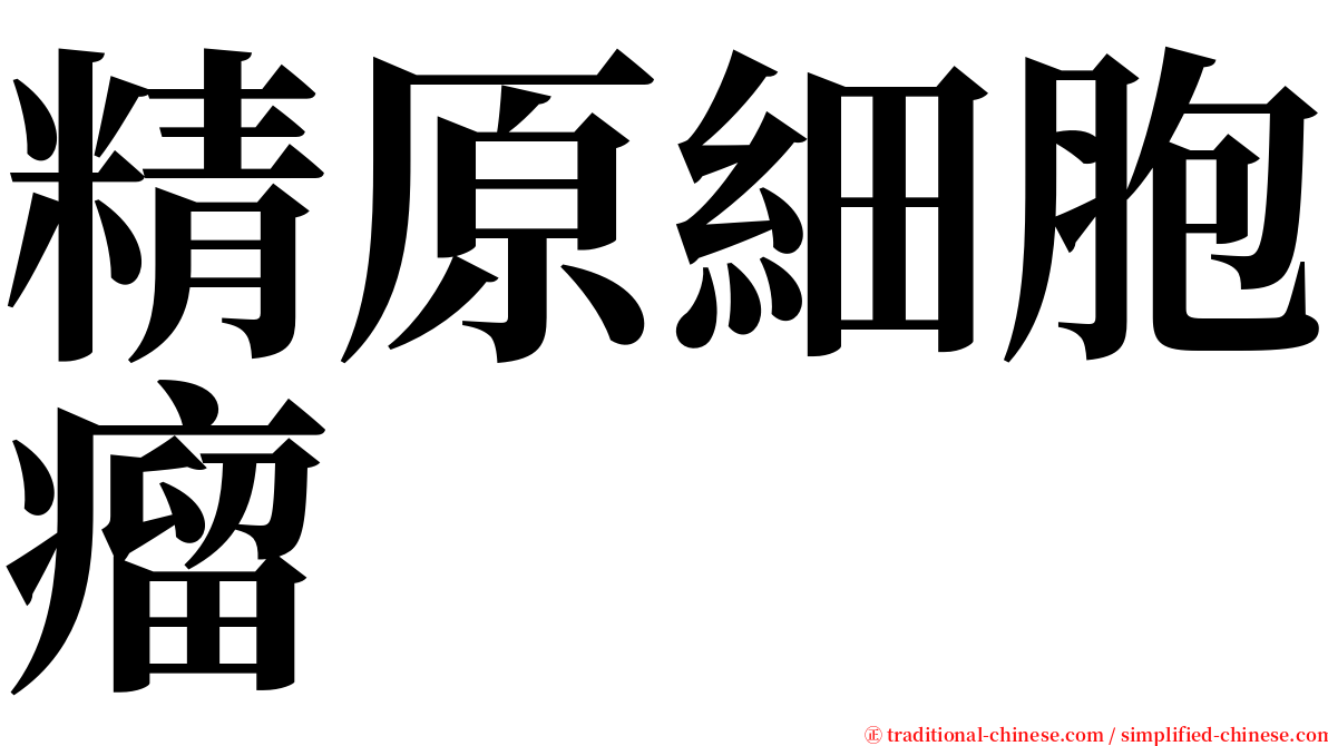 精原細胞瘤 serif font