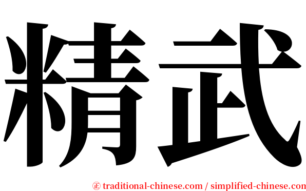 精武 serif font