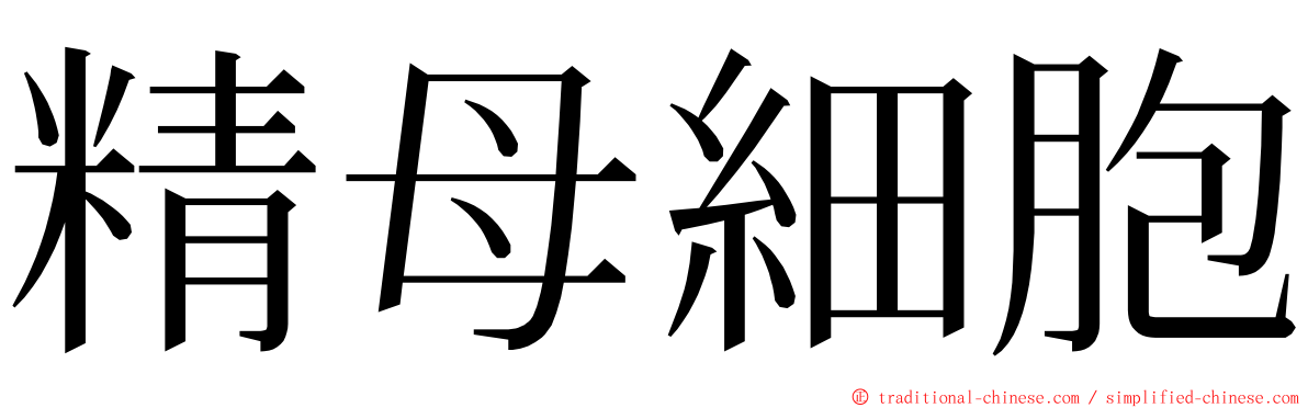 精母細胞 ming font