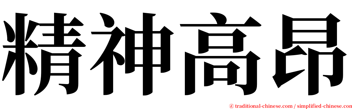 精神高昂 serif font